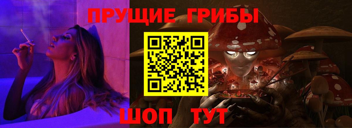 Псилоцибиновые грибы Cubensis Пушкино